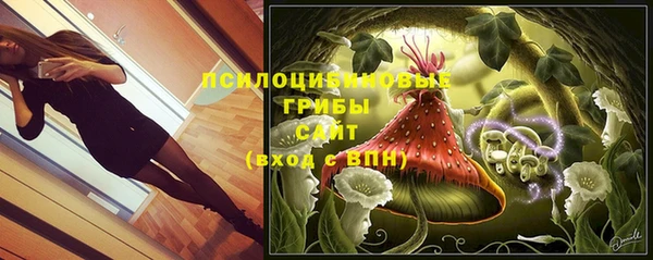 герыч Киров