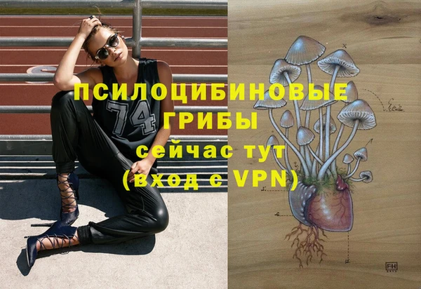 стафф Чита