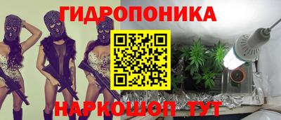 ешки Гусь-Хрустальный