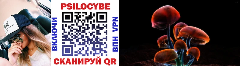 купить закладку  Еманжелинск  ОМГ ОМГ зеркало  Псилоцибиновые грибы Magic Shrooms 