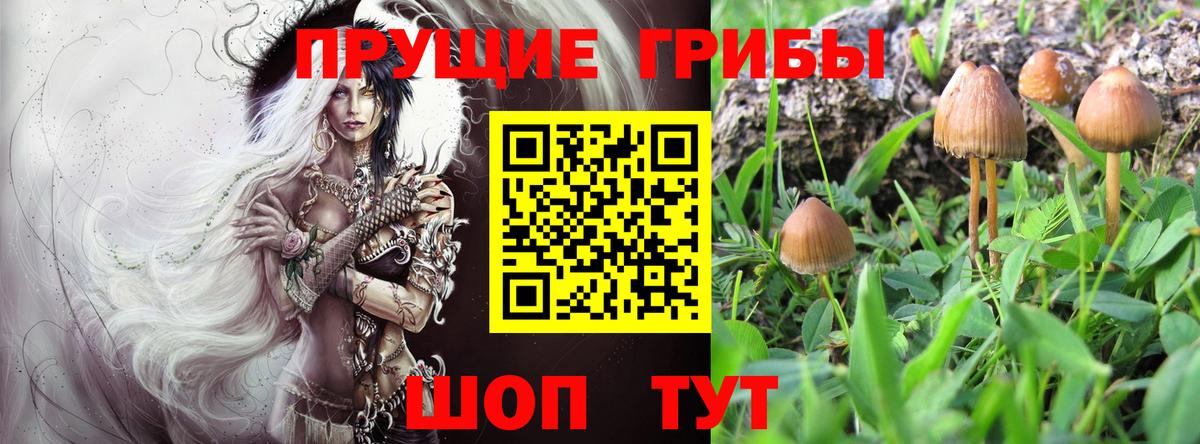 Галлюциногенные грибы мухоморы Еманжелинск