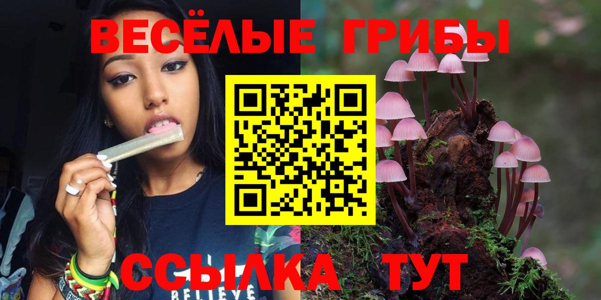 Псилоцибиновые грибы прущие грибы  Вход с VPN  Еманжелинск 